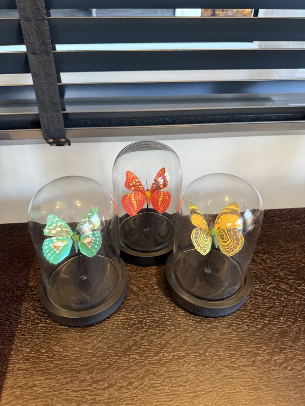 Stolp ‘Butterfly’